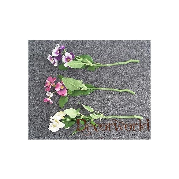 Rövidszárú élethű árvácska