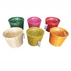 Bambusz kaspó 16x13 cm - 6 színben