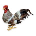 Tyúk szalma + tollal 20 cm