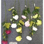 Élethű ranonculus ág X2