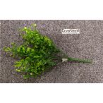 Eukaliptusz bokor 7 szálas