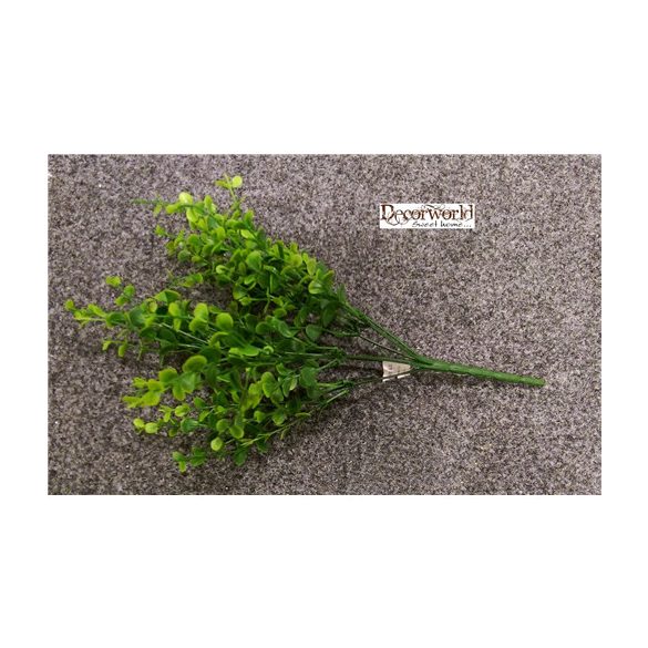 Eukaliptusz bokor 7 szálas