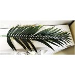 Areca pálma levél  54cm
