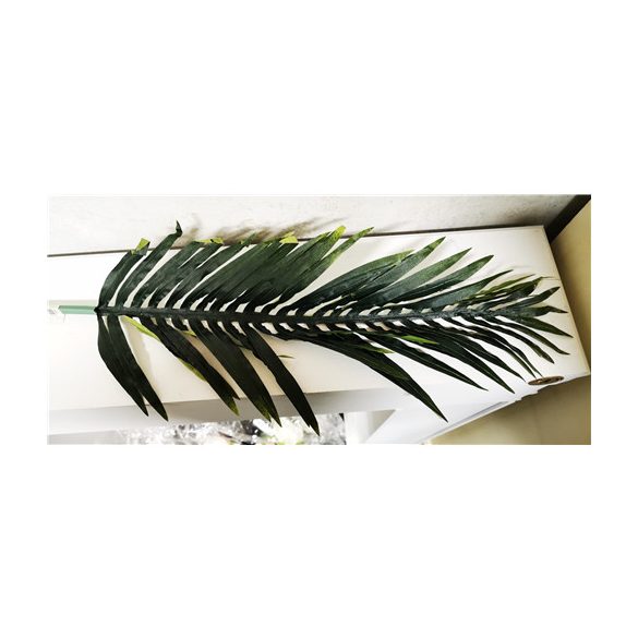 Areca pálma levél  54cm
