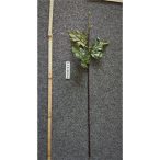 Krizantém szár vastag + 4levél 65 cm /DB