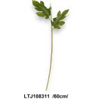 Krizantém szár vastag + 2levél 60cm /DB