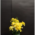 Nárcisz bokor x5 24cm - Sárga