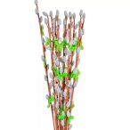 Barka ág köteg 65cm 12db/csom.