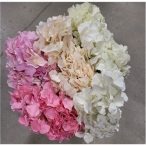 Hortenzia csokor x5 - Több színben