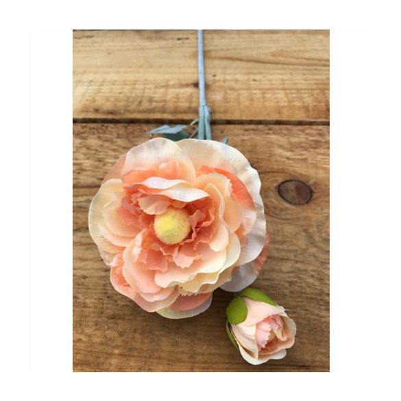 Ranunculus ág flokkolt szár 50cm - Több színben