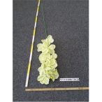 Vanda Orchidea 100cm - Krém