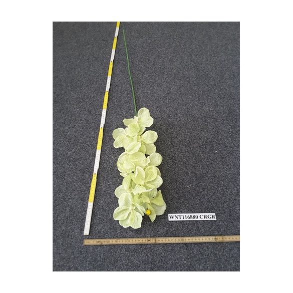 Vanda Orchidea 100cm - Krém