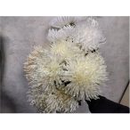 Nagyfejű krizantém x7 - 3 színben