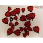 Öntapadós katica 24db