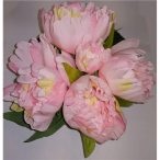 Peoniaköteg x5 - Rózsaszín