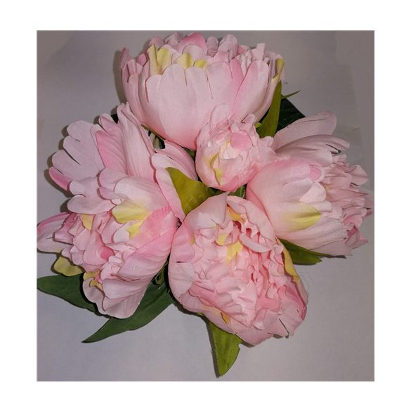 Peoniaköteg x5 - Rózsaszín