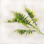 Páfrány pick 390cm - S/12