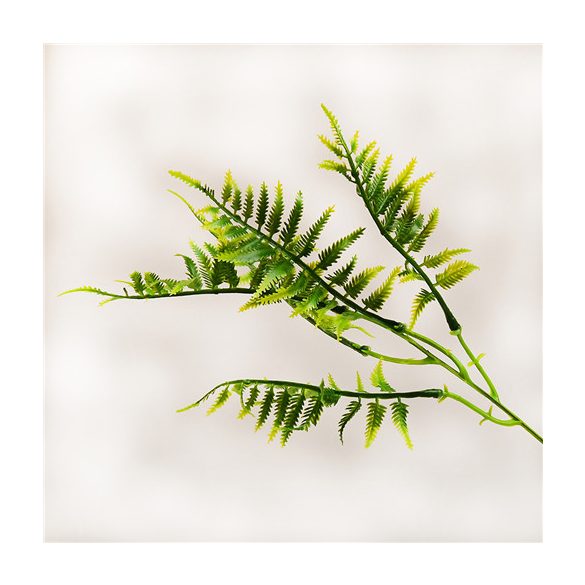 Páfrány pick 390cm - S/12