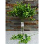 Eukaliptusz bokor /DARAB