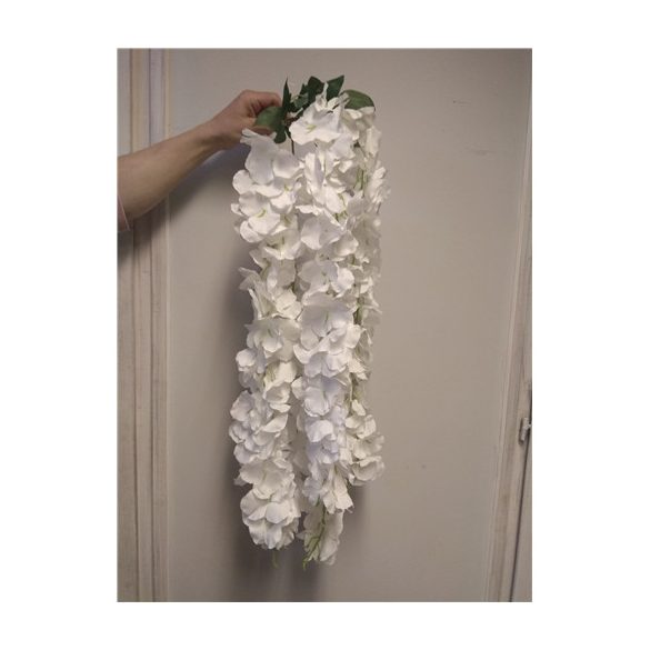 FG-L-06dús, csüngő virág .futó*5