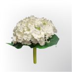 Hortenzia köteg x6 28cm - Krém