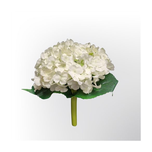 Hortenzia köteg x6 28cm - Krém