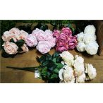 Angolrózsa bokor *9 szálas 40cm - 5 színben