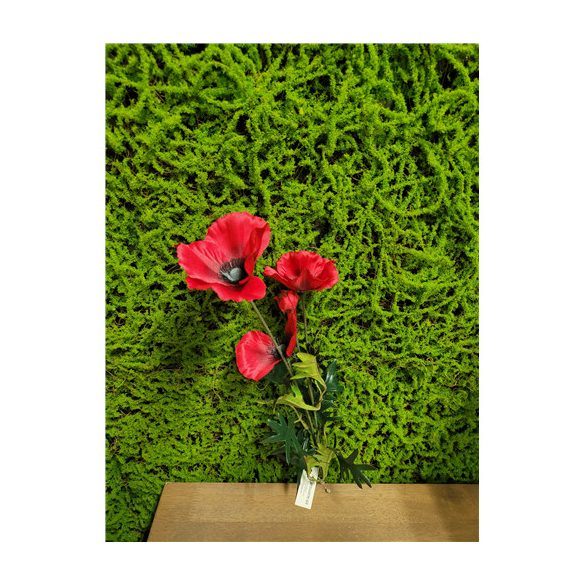 Pipacs + bimbó 3 fej 76cm - Piros