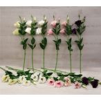 Lizianthus szál 65cm - Több színben