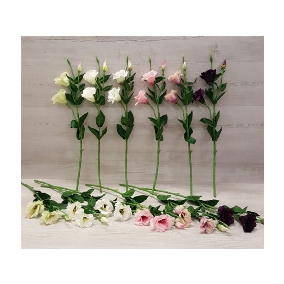 Lizianthus szál 65cm - Több színben