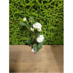 Mini rózsaág x2 50cm S/12