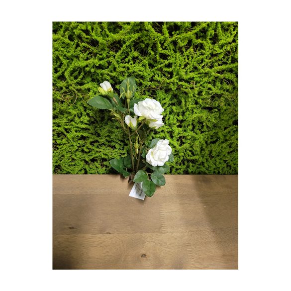 Mini rózsaág x2 50cm S/12