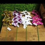 Orchidea gumis 100cm - Több színben