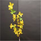 Aranyeső ág x5 leveles