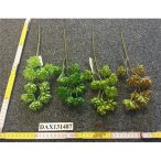 Kövirózsa pick 45cm - Több féle