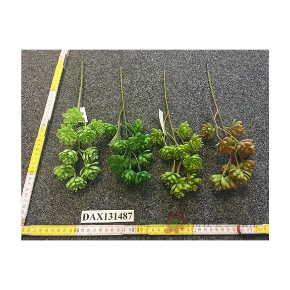 Kövirózsa pick 45cm - Több féle