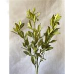 Oliva ág hosszúlevelekes 6ág 72cm