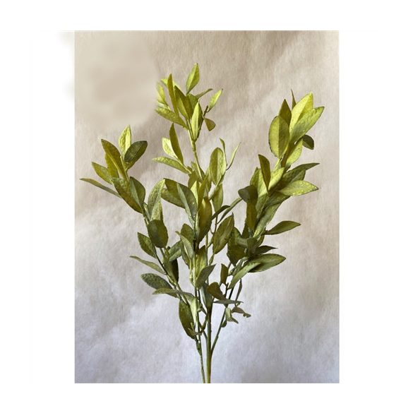 Oliva ág hosszúlevelekes 6ág 72cm