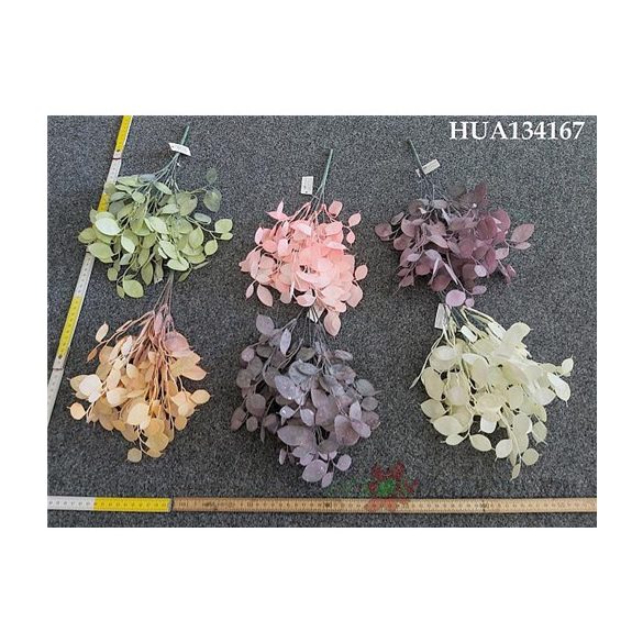 Júdáspénz holdviola bokor x6 - 6 színben