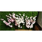 Gyümölcság szál 60cm /DB