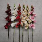 Kardvirág 65cm - 6 színben