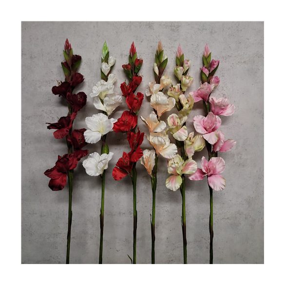 Kardvirág 65cm - 6 színben