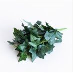 Borostyán bokor x12 26cm - Zöld