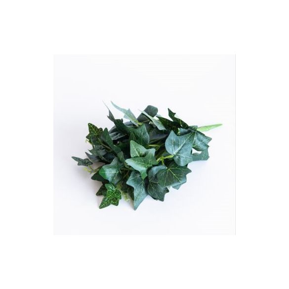 Borostyán bokor x12 26cm - Zöld