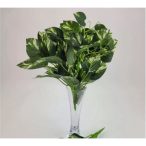 Pothos bokor30cm - 12 szál