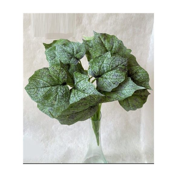 Hamvas begónia bokor 12 ág 28 cm