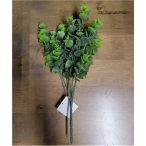 Eukaliptusz bokor 5ág 30 cm