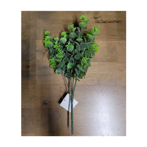 Eukaliptusz bokor 5ág 30 cm