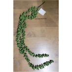 Békalencse ág 3 ág