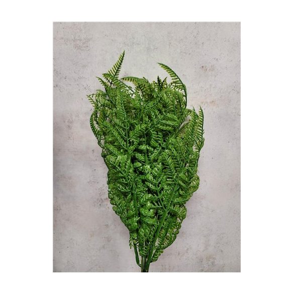 Műanyag kisleveles páfrány